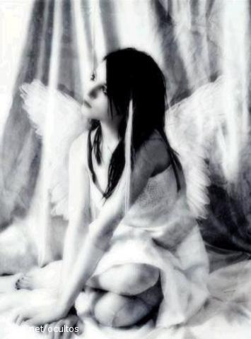 l'ange gothique 